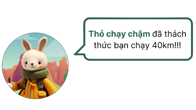 thỏ này
