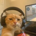 Profile picture of Just Meee