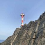 Profile picture of hang nguyen