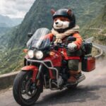 Profile picture of Minhhhh Nguyễn