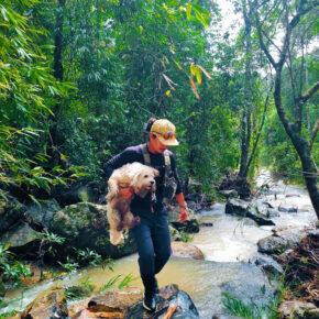 z7257552795061_522cca6dfe8d8a86f3743064b7e3c705 