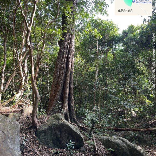 2025-06-15 15.40.43_