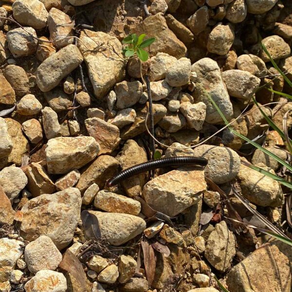 2a384cc3-322a-49a8-b3c1-ef7243a125f5