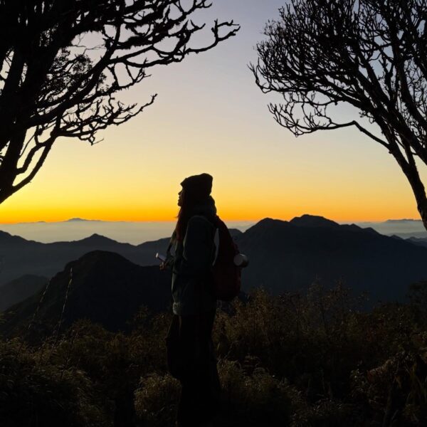 39BED3EC-0E13-4AB3-8FB5-71527C6AF5C9