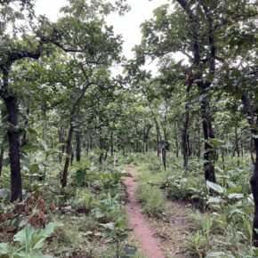 484110570_645808285070284_6154709548682523698_n 