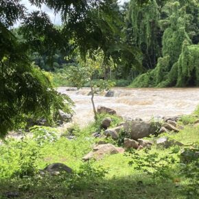 484294780_645808151736964_4261070819919497477_n 