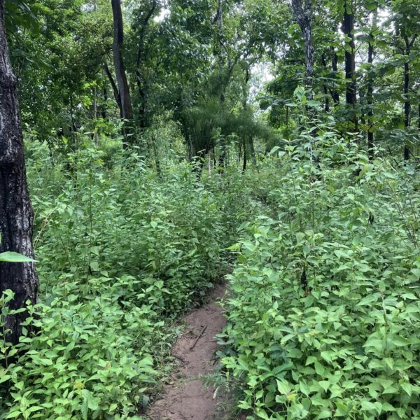 484565522_645808321736947_2436065893153265960_n