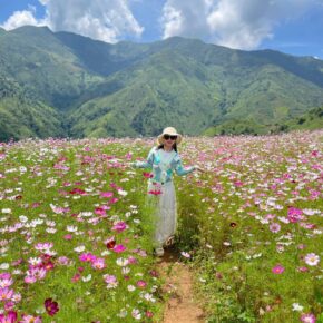 598258838_10162812918894262_5977094679011830720_n 