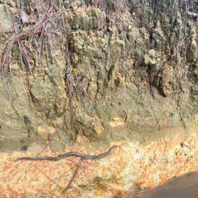 600f514f955d1a03434c10 