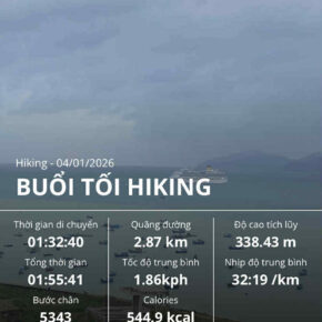 7313de4a-2a9a-4400-a5aa-ce145598a985 