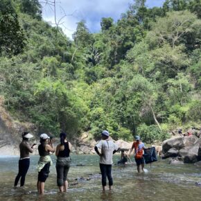 75334a1d-73eb-4dd9-8112-1db96169f24e 