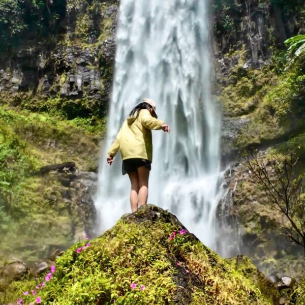 7859d39af501785f2110