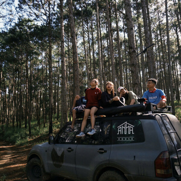 84293931d73d5863012c8