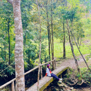 IMG_1765856848485_1765856995569 