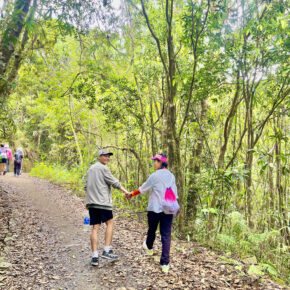 IMG_1765856848490_1765857008910 