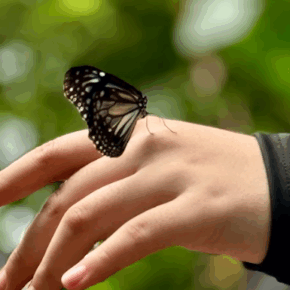 Screenshot 2025-09-08 144341 