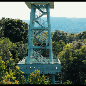 Still 2025-12-22 210730_1.577.1 