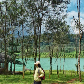 a67dec7ecbe546bb1ff4 