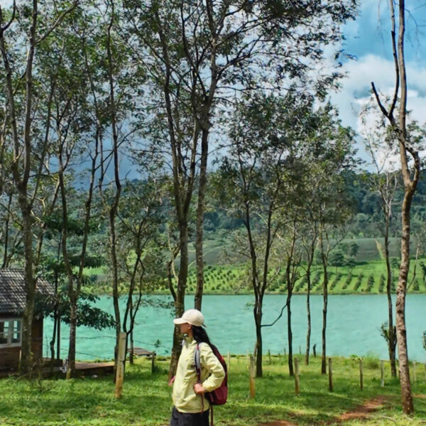 a67dec7ecbe546bb1ff4