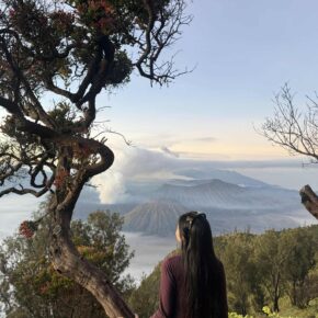 bromo4 