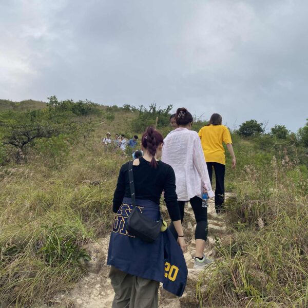 d2eb9562-d56a-4452-9cf9-eca2d8cb7135