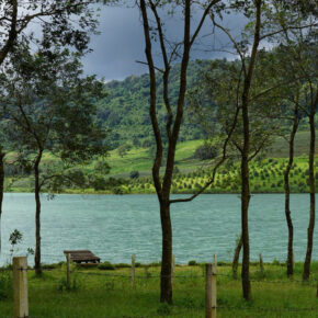 d6cddd4807d38a8dd3c2 