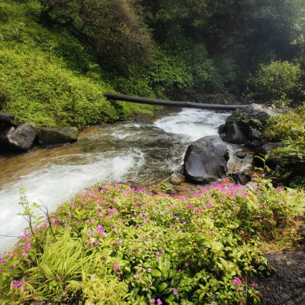 dji_mimo_20251023_110854_20251023110854_1761201742125_photo 3