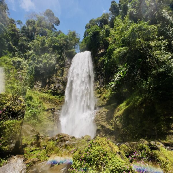 dji_mimo_20251023_111720_20251023111721_1761201740043_photo 5