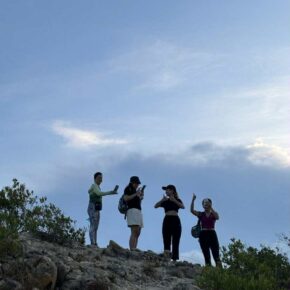 f94e59ae-78f1-462f-a8da-88d71f80d7d0 