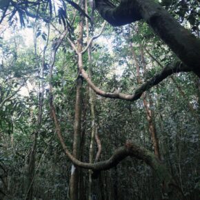 fxn 2025-07-12 083830.120 