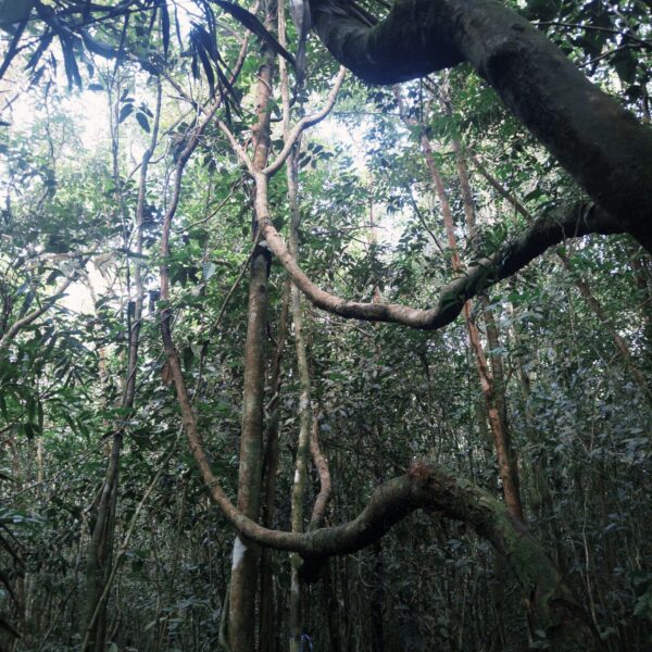 fxn 2025-07-12 083830.120