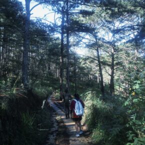 fxn 2025-11-08 084638.311 