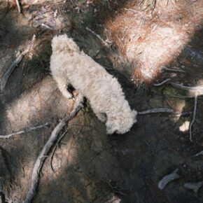 fxn 2025-11-08 133831.919 