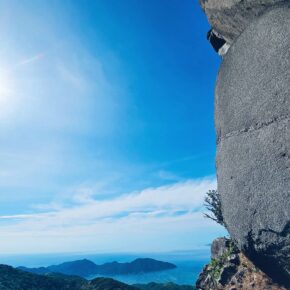 inbound1035228478795773983 