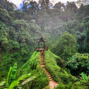 inbound1283583636591321846 