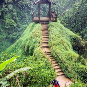 inbound1655849389727454250 