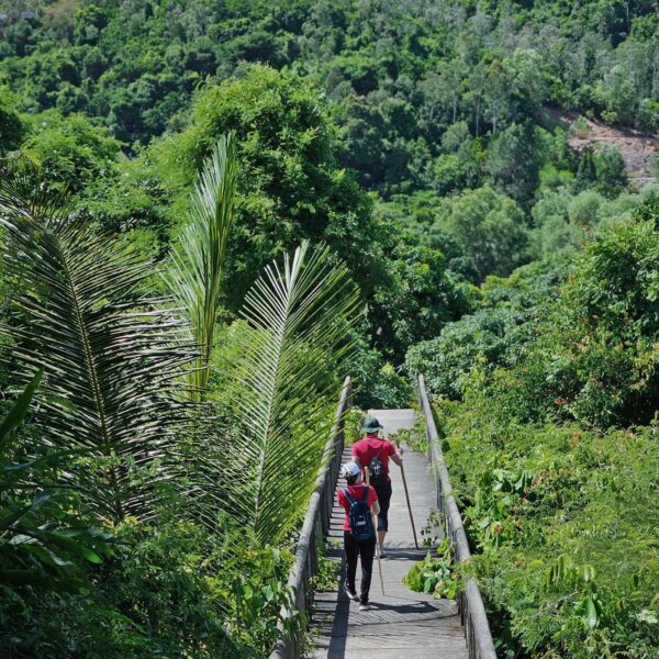 inbound2229092006276221052