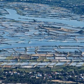 inbound2508639466370481971 