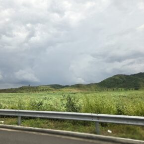 inbound273359476237481697 