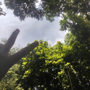 inbound2908519048197141881 