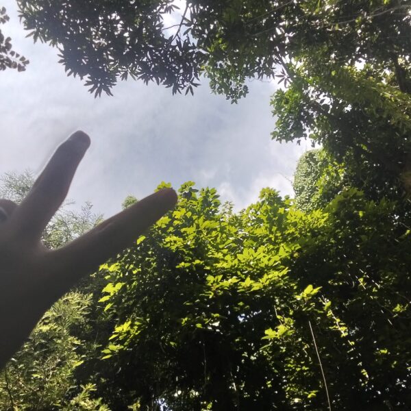 inbound2908519048197141881