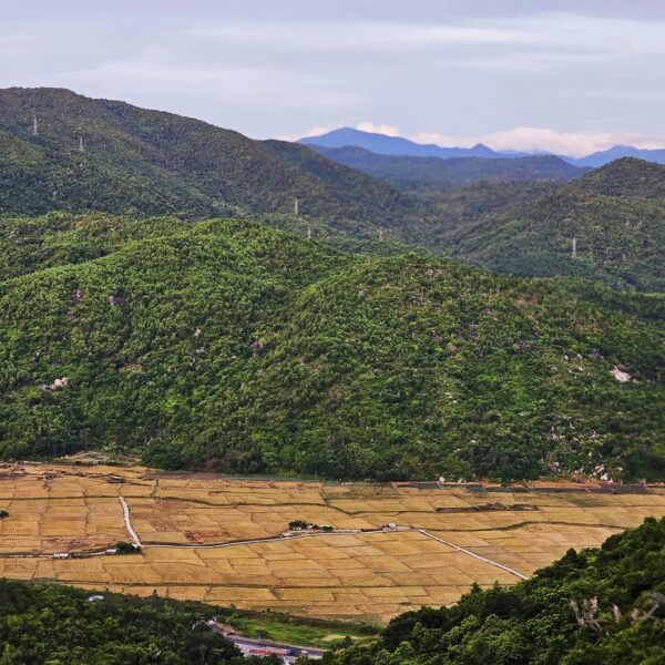 inbound7065726130360381865