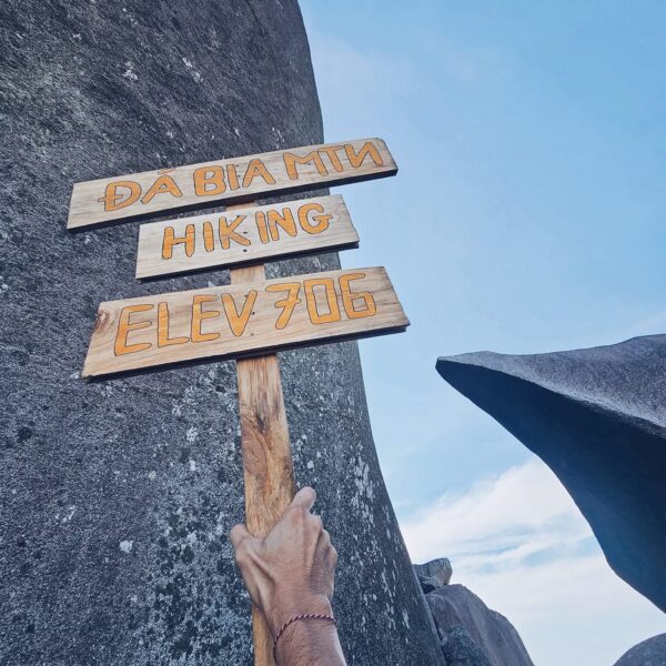 inbound7445743481661556531