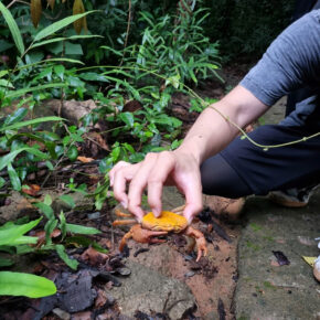 z7223061531378_13b072f073e7abe1004651d29be85903 