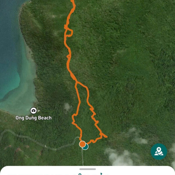 z7223061533335_49a50dca04b81d0296978ad0722feed1