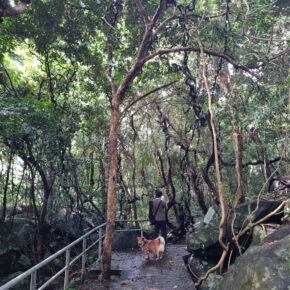 z7223061559448_153333b1b5f99becf123deee07c1ce11 