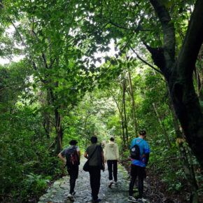 z7223061568684_e2b94cda09b82509113a5086403bbfe0 