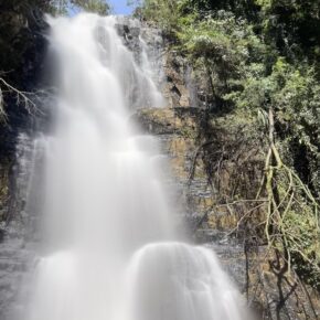 z7332054099562_b2519c0b56a1f6d73310cd8e7cc8f224 