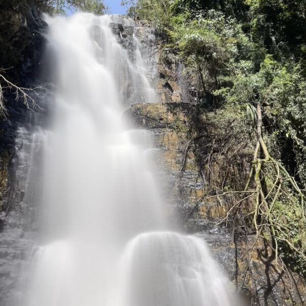 z7332054099562_b2519c0b56a1f6d73310cd8e7cc8f224