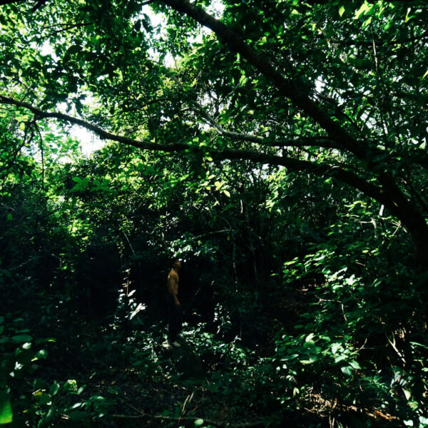 z7357399064948_d49906431daa19897125b9f0800f170b